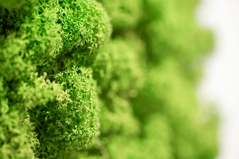 Augenarzt Kriftel - Kehrein - Leistungen Traditionelle Chinesische Medizin